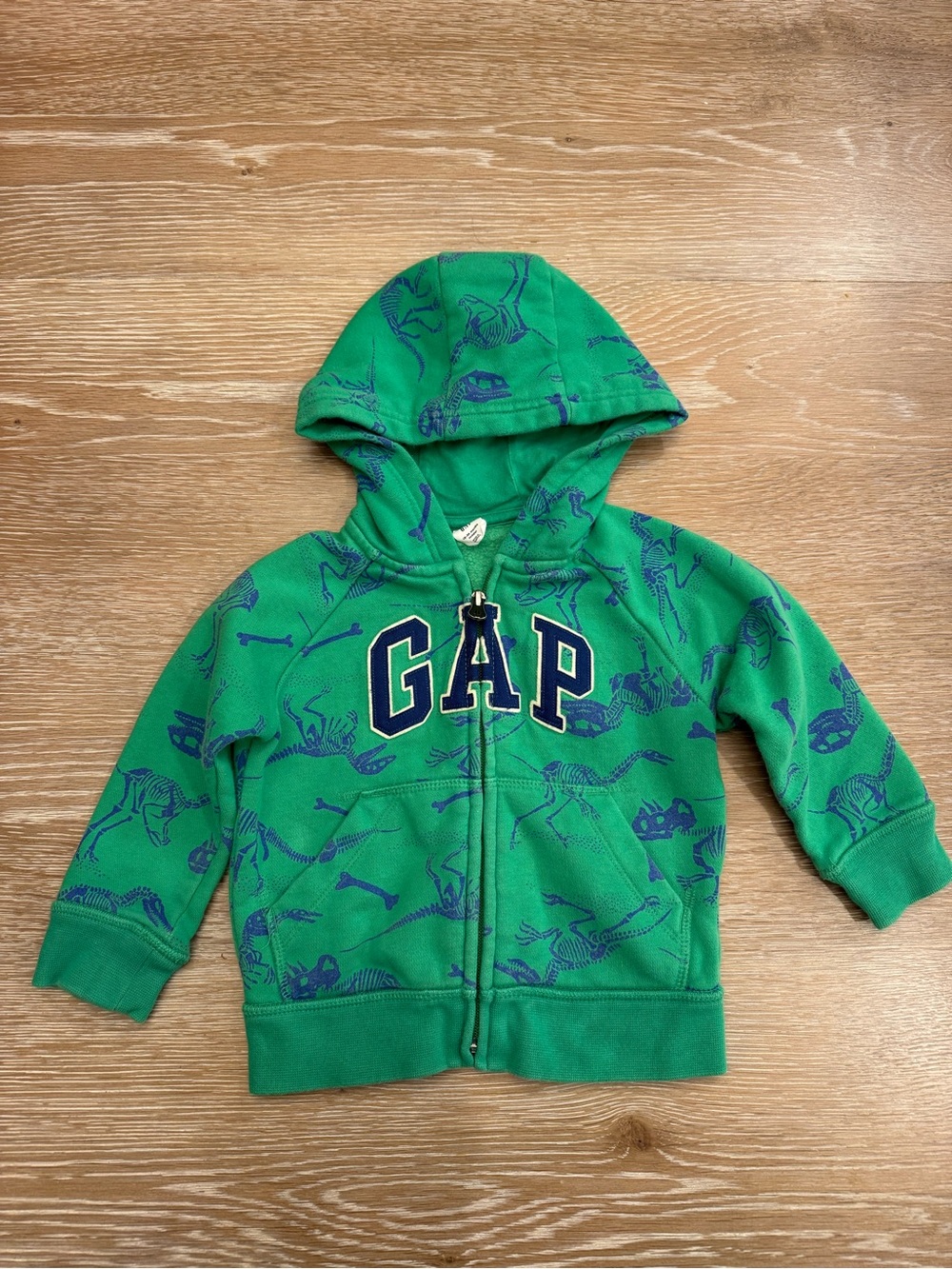 GAP Green Hoodie with Navy Dinosaur Print
